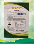 MAGIC ROOT